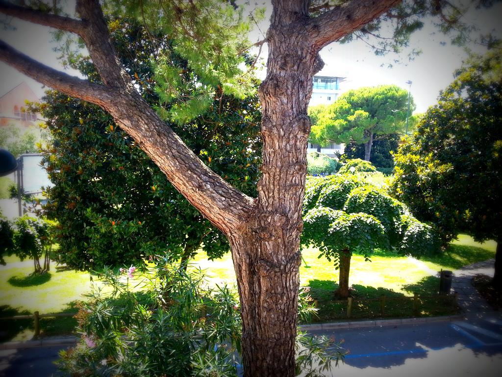 Hotel Zen Lignano Sabbiadoro Quarto foto